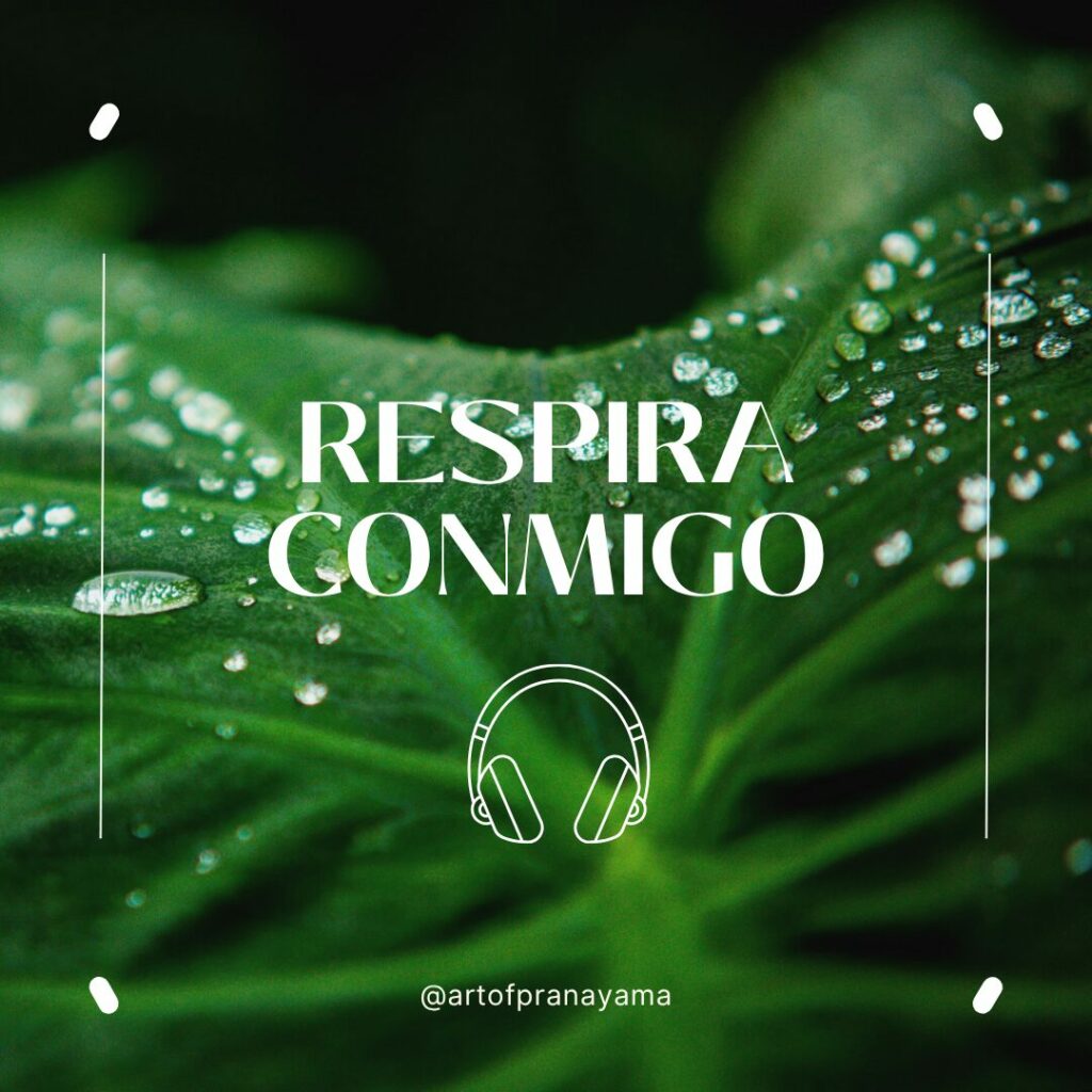 Yoga Nidra guided meditation for better sleep and relaxation